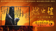 最难得的是，影片没有让动作戏盖过情感内核，反而用“刚柔并济”的叙事，让故事更有温度。